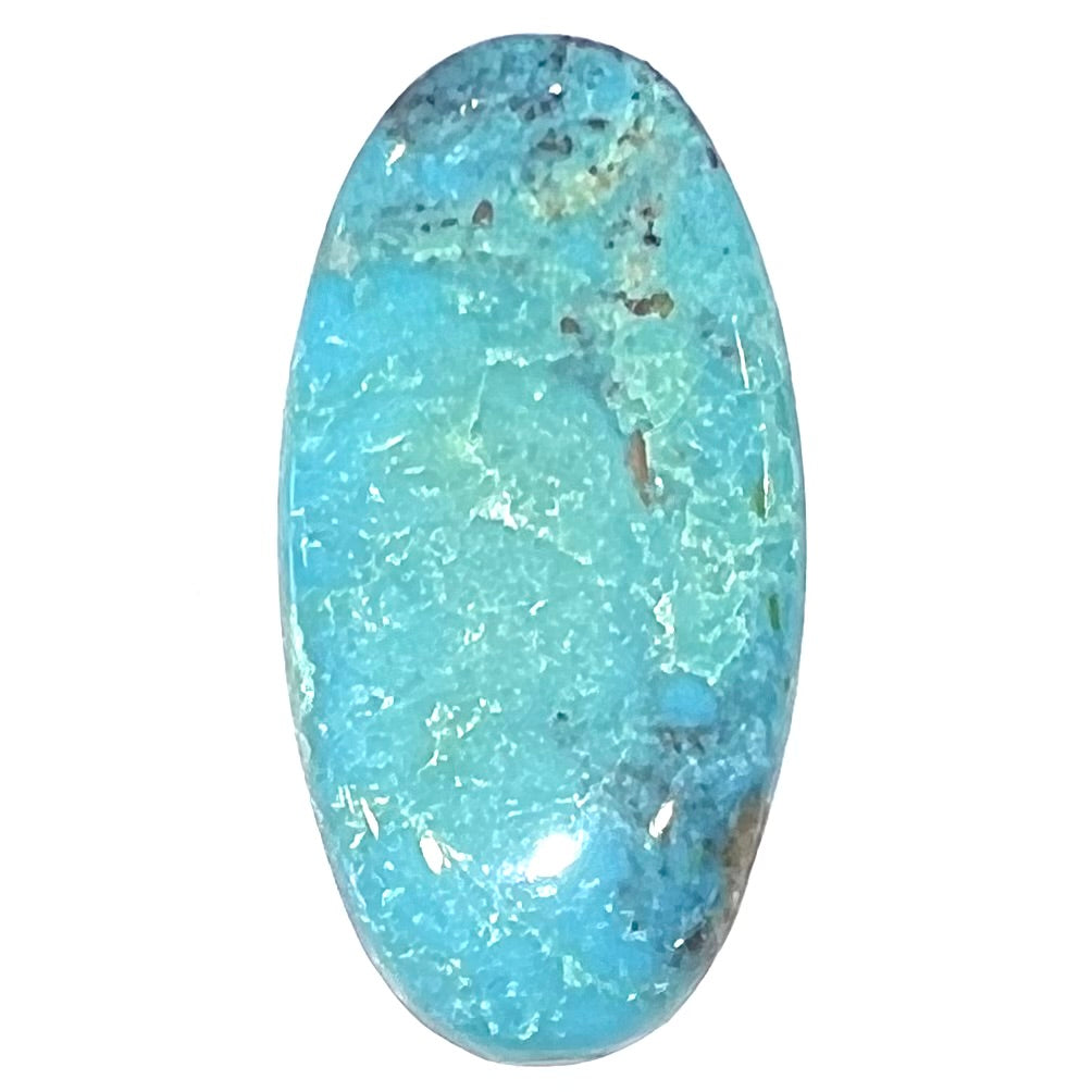 Turquoise #228 | Bisbee – Burton's Gems and Opals