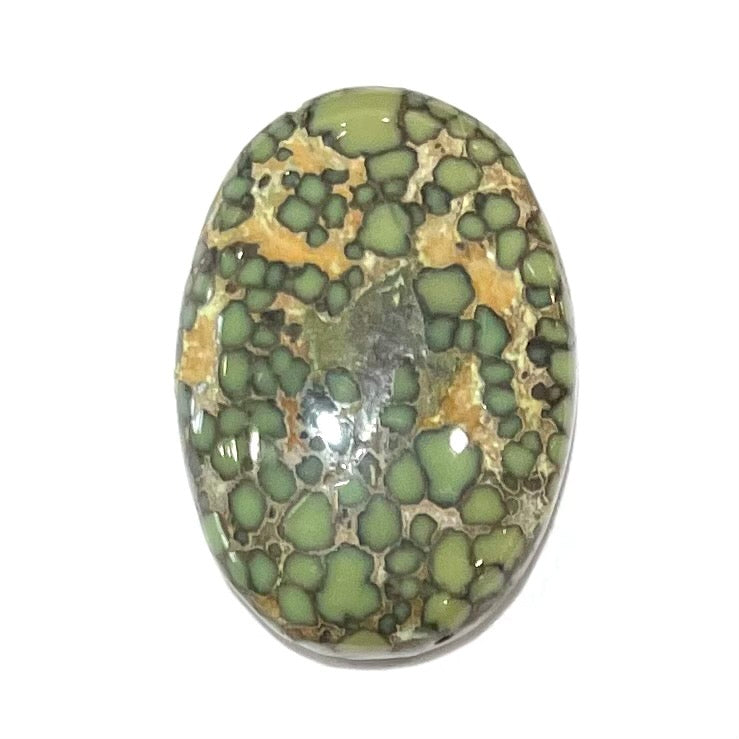 GREEN Spotted Number 8 Mine Turquoise Cabochon | Burton's