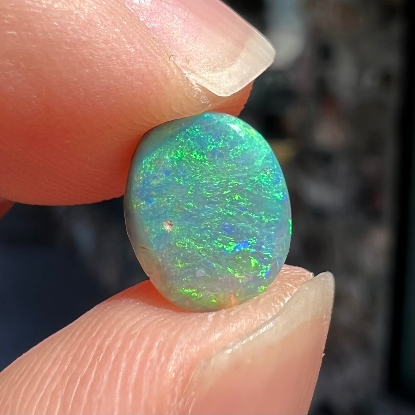 A loose, 1.26 carat semi-black opal stone from Lightning Ridge, Australia.  The opal is green and blue.