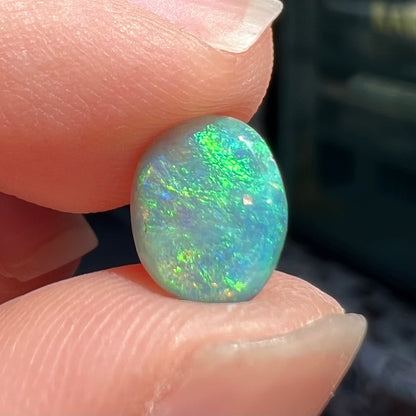 A loose, 1.26 carat semi-black opal stone from Lightning Ridge, Australia.  The opal is green and blue.