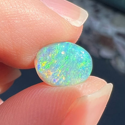 A loose, 1.26 carat semi-black opal stone from Lightning Ridge, Australia.  The opal is green and blue.