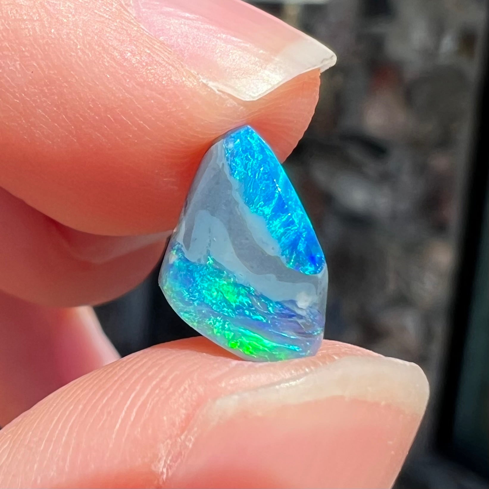 A 1.63 carat loose black opal stone from Lightning Ridge, Australia.  The opal is a freeform shape.