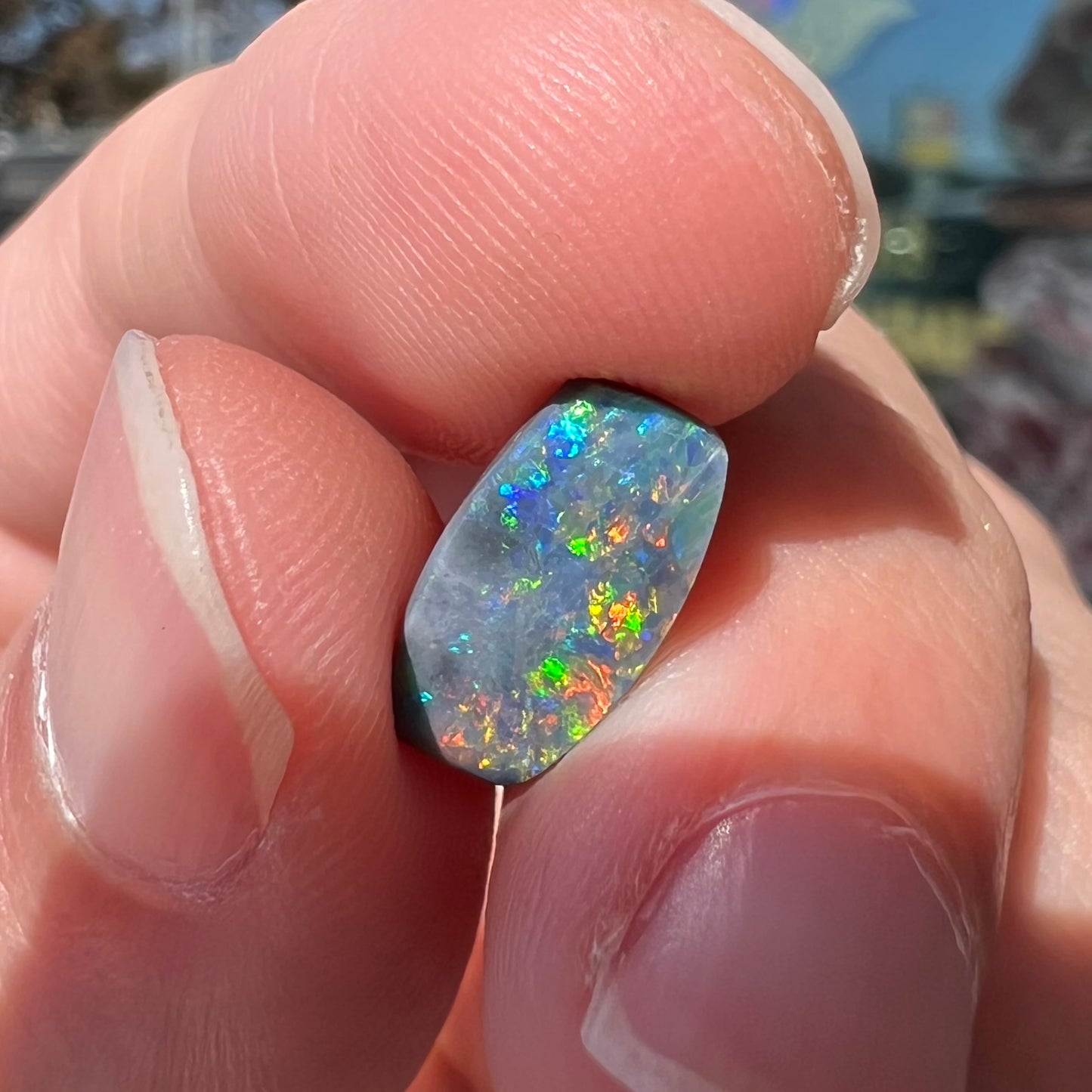 A loose 1.76ct barrel shaped black opal stone from Lightning Ridge, Australia.  The opal has a rainbow of colors.