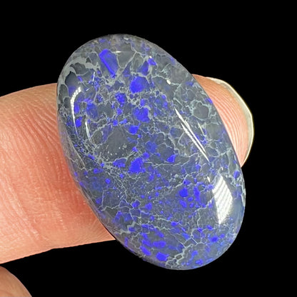 A loose, oval cabochon cut black opal from Lightning Ridge, Australia that weighs 13.09 carats.  The opal is blue.