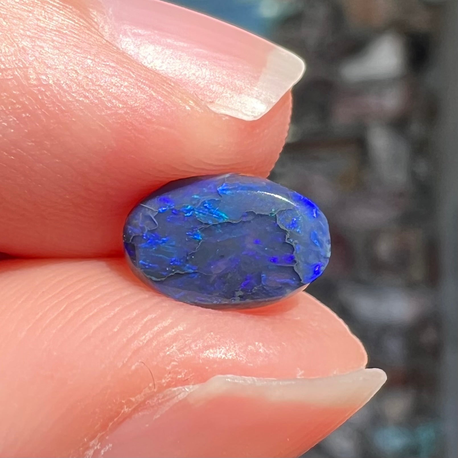 A loose, oval cabochon cut black opal stone from Lightning Ridge, Australia.  The opal has blue color play.