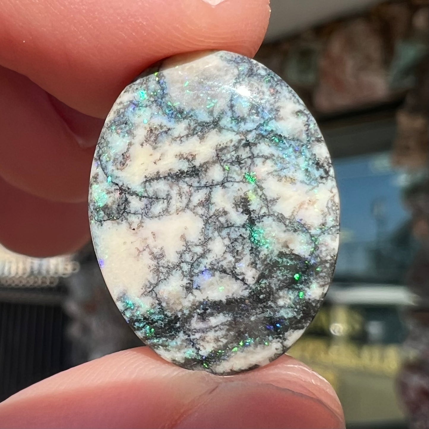 11.97ct Australian Dendritic Opal | #E217