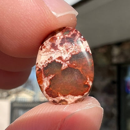 3.79ct Mexican Cantera Fire Opal | #E220