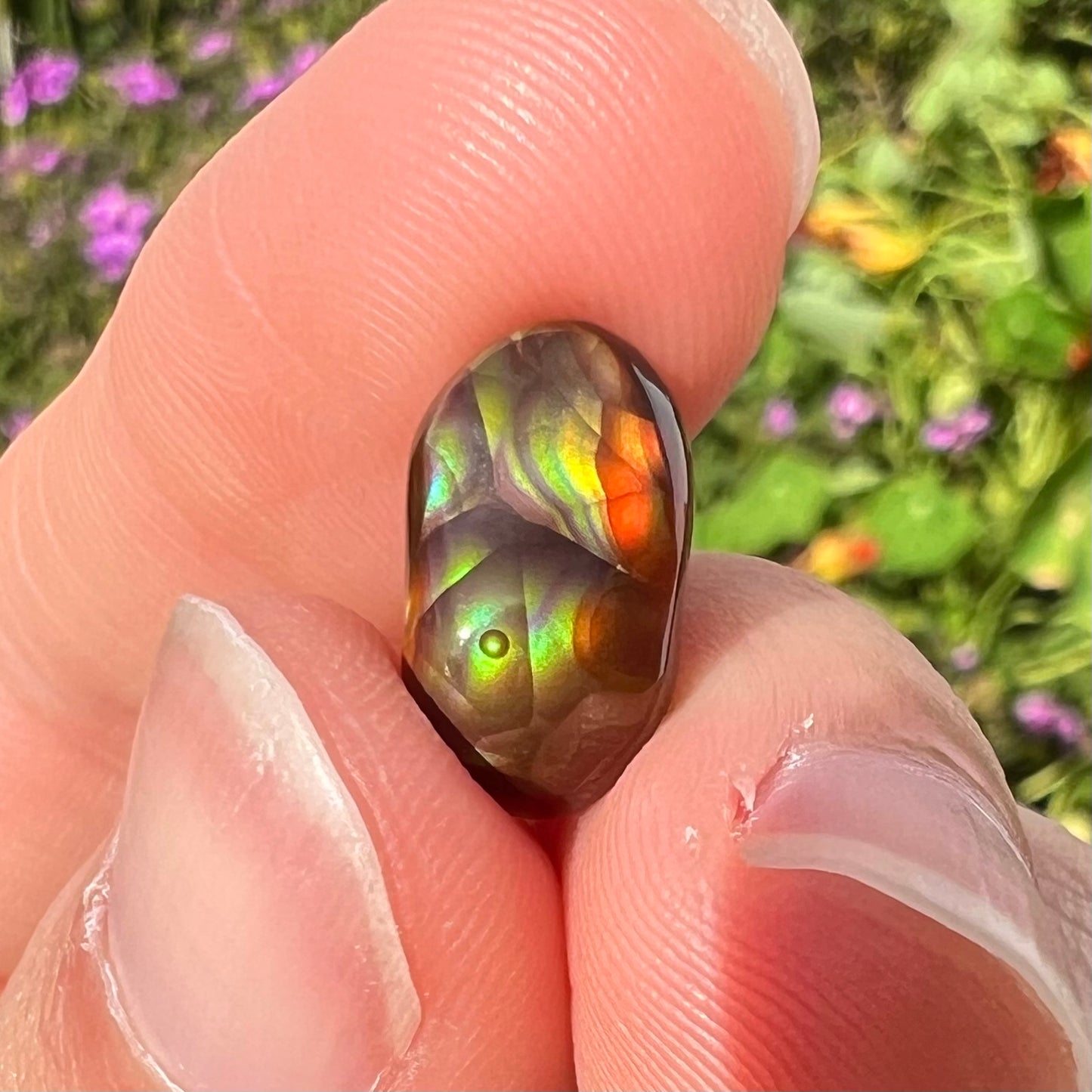 A loose, oval cabochon cut Mexican fire agate stone.  The stone has multi-colored banding with blue overtones.