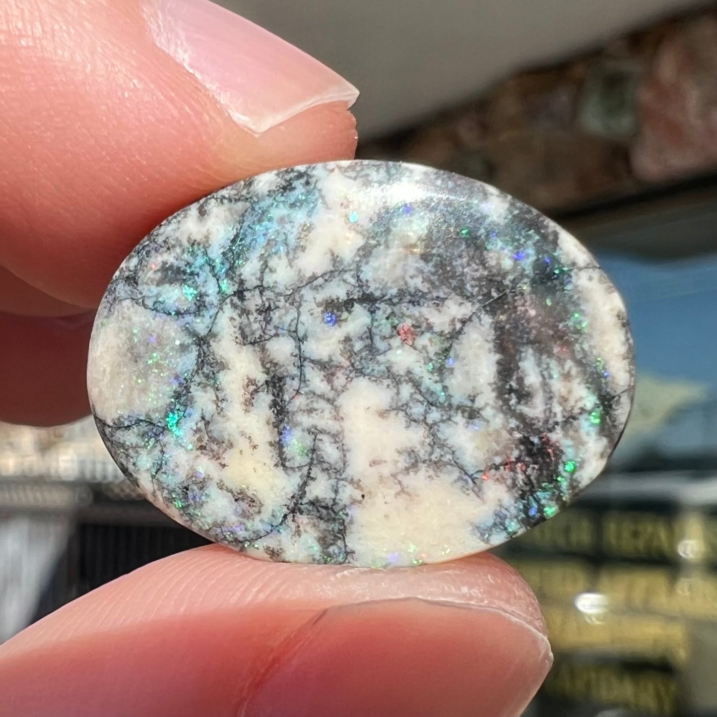 11.97ct Australian Dendritic Opal | #E217