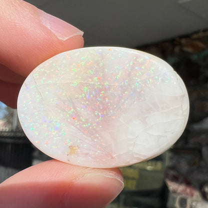 61.90ct Double-Sided Spencer Opal, crazed | #E225