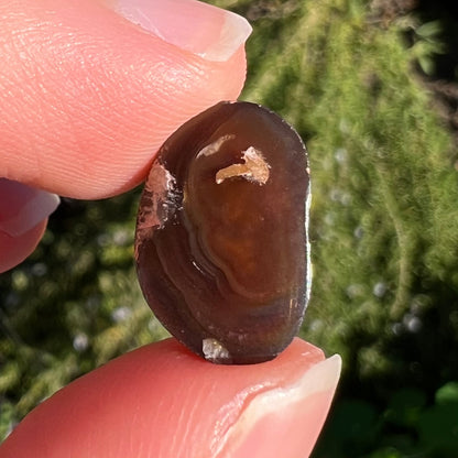 A loose Mexican fire agate cabochon.  The stone has a bright purple and blue iris pattern.