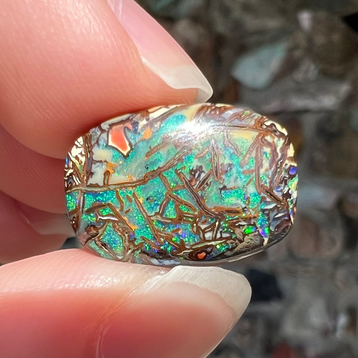 A barrel shaped boulder matrix opal from Koroit, Australia.  The opal has blue fire.