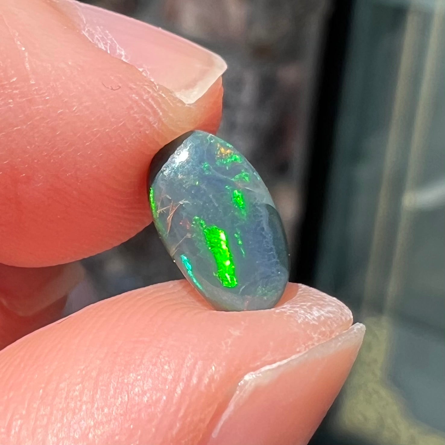 A natural, oval cut black opal stone that shows fire of red, green, and blue.