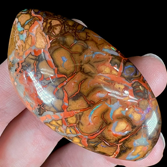 A polished boulder opal stone from Koroit, Australia.  The stone has been drilled with a bead hole.