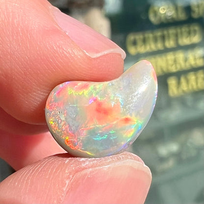 A loose, drop shaped opal stone from Lightning Ridge, Australia.  The stone has bright red fire.