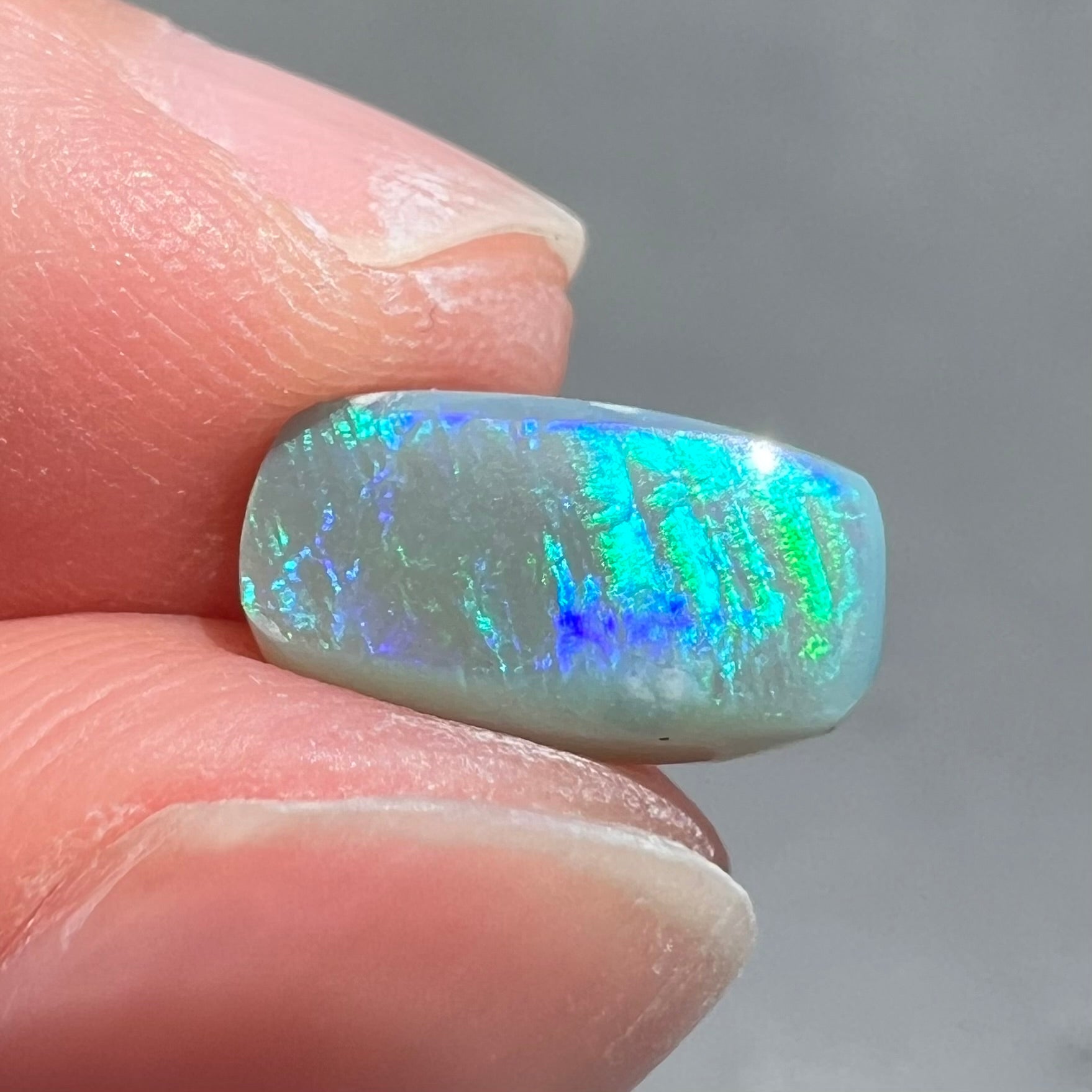 A loose semi-black opal from Lightning Ridge, Australia.  The opal flashes bright green and blue colors.