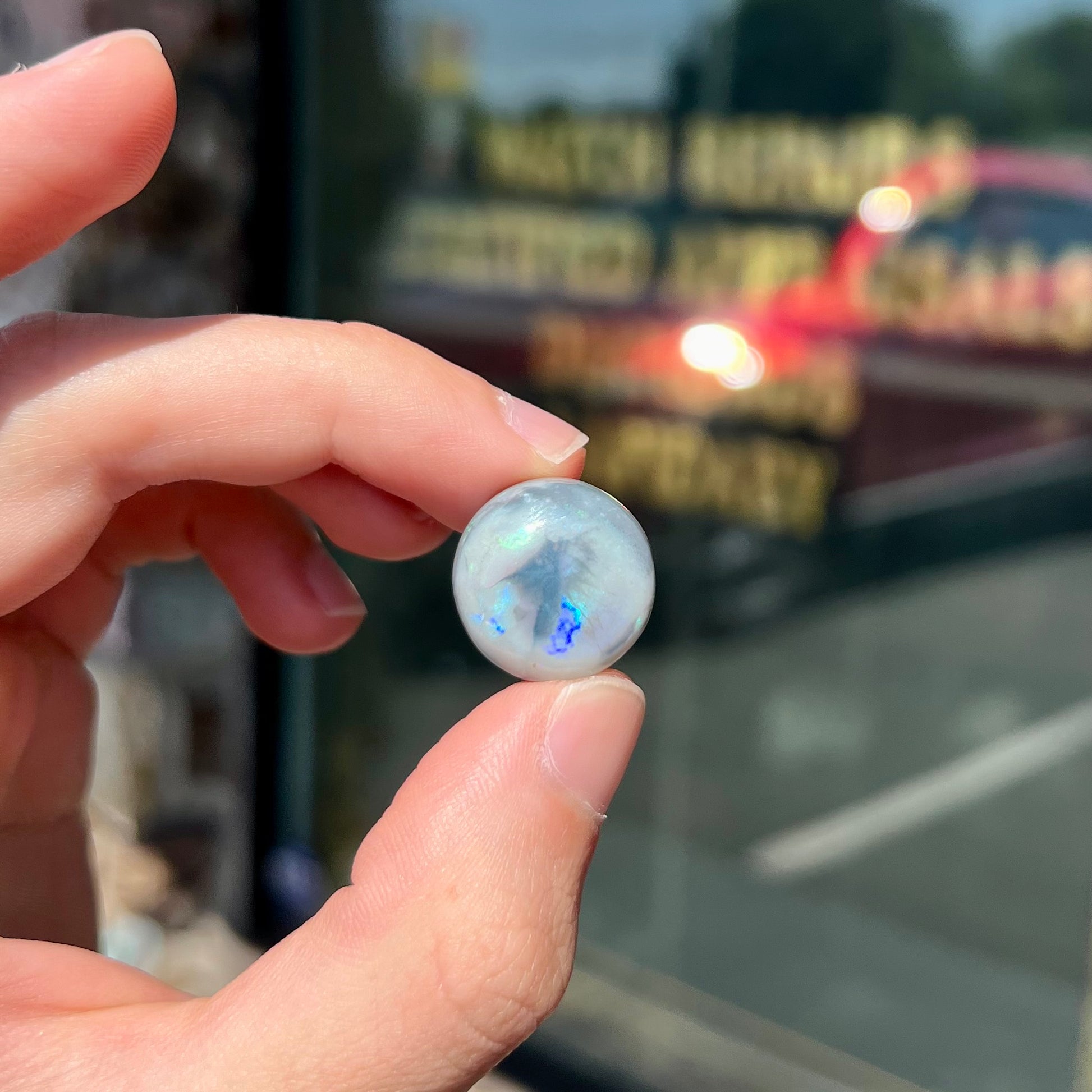 A round cabochon cut Lightning Ridge opal stone that has a picture of a bird of paradise.