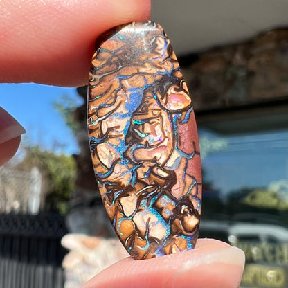 A loose, barrel shaped Koroit boulder opal stone with blue veins.