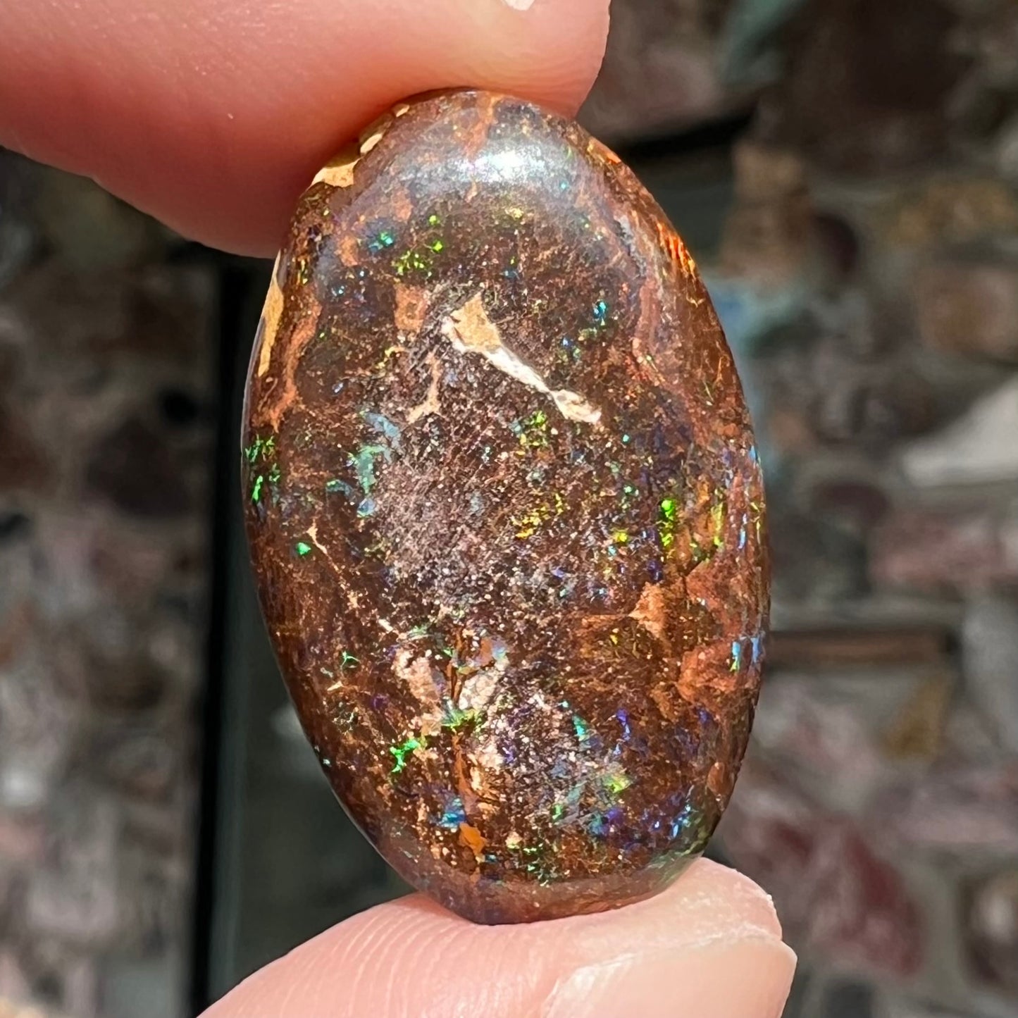 An oval cabochon cut boulder opal stone with green, blue, purple, and red play of color.