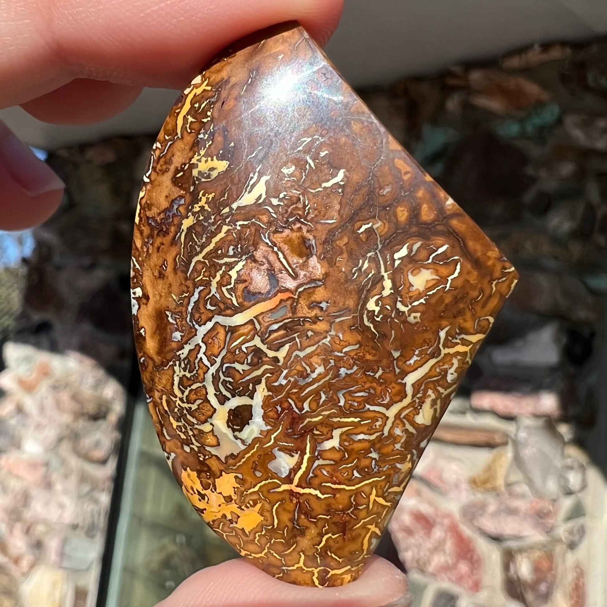 A loose, polished Koroit boulder opal specimen.  The opal has an organic pattern.