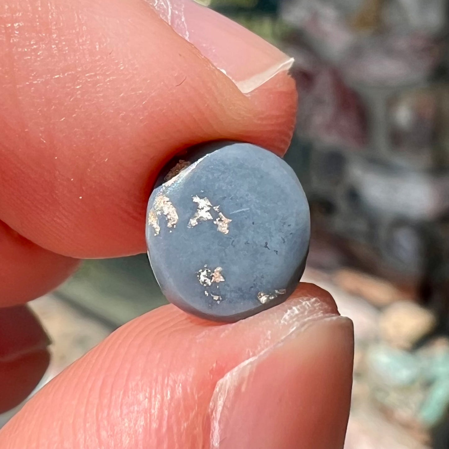 A loose black opal stone from Lightning Ridge, Australia.  The opal shines blue and green colors.