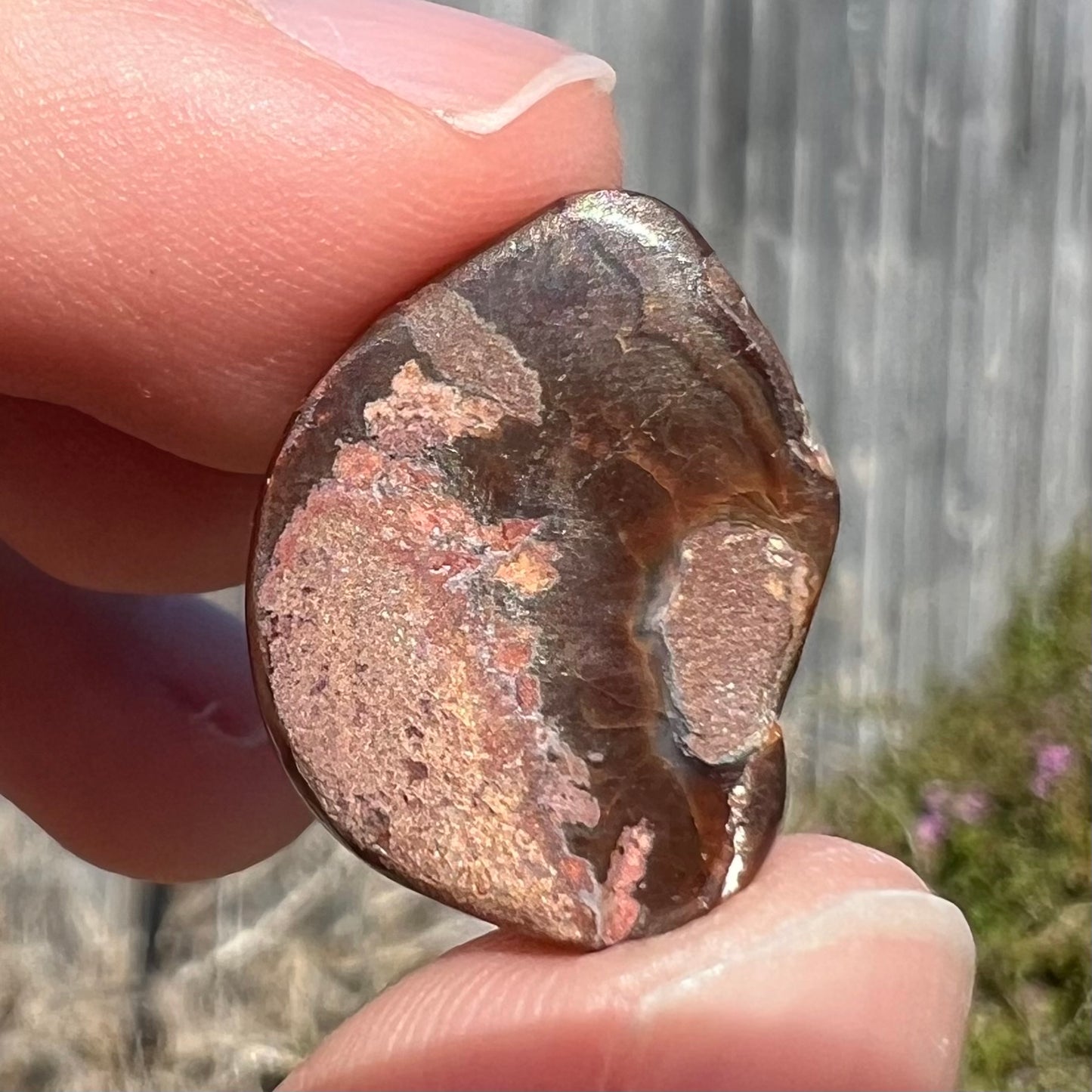 13.95ct Mexican Fire Agate, Bright Color