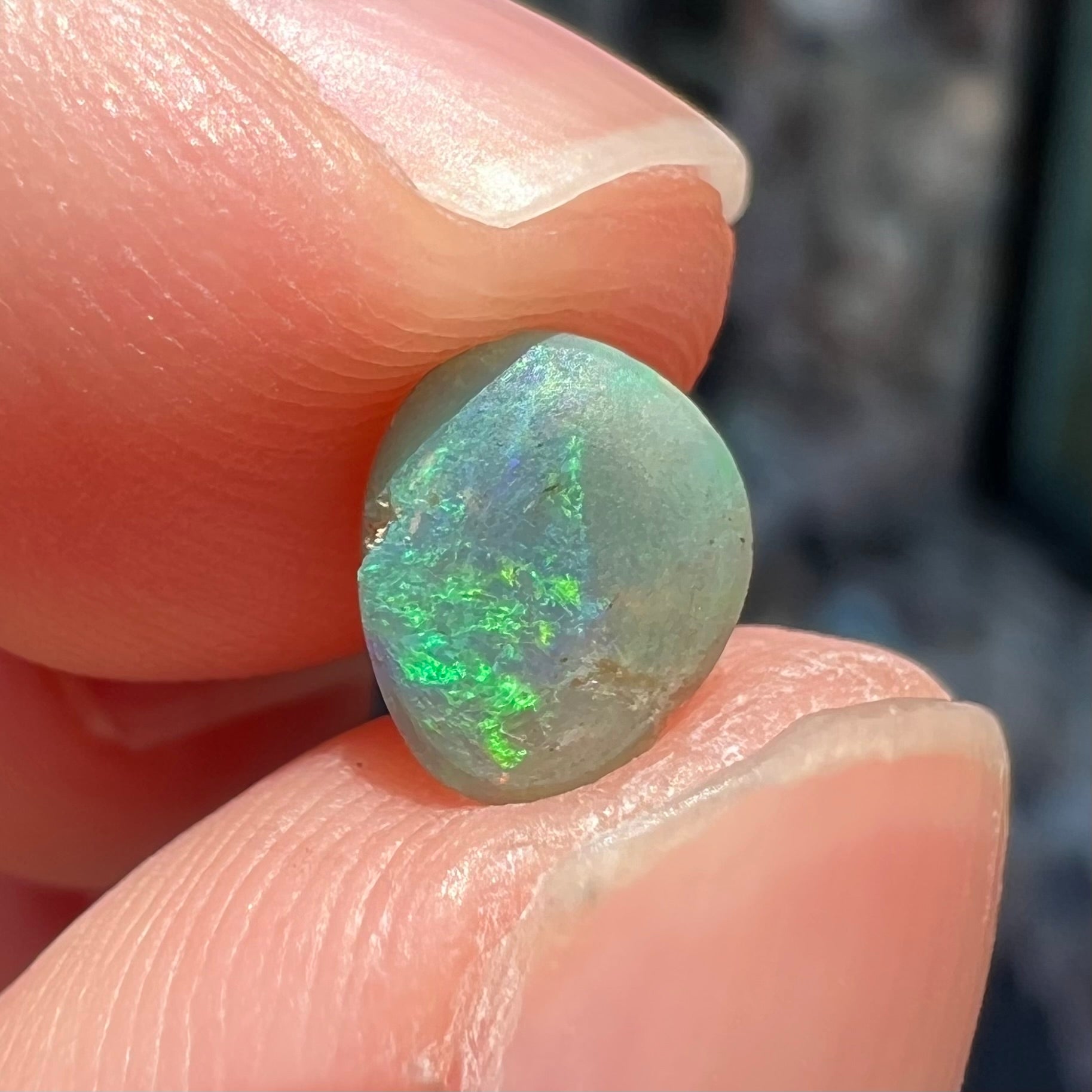 A loose, freeform shaped semi-black opal stone from Lightning Ridge, Australia.