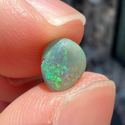 A loose, freeform shaped semi-black opal stone from Lightning Ridge, Australia.