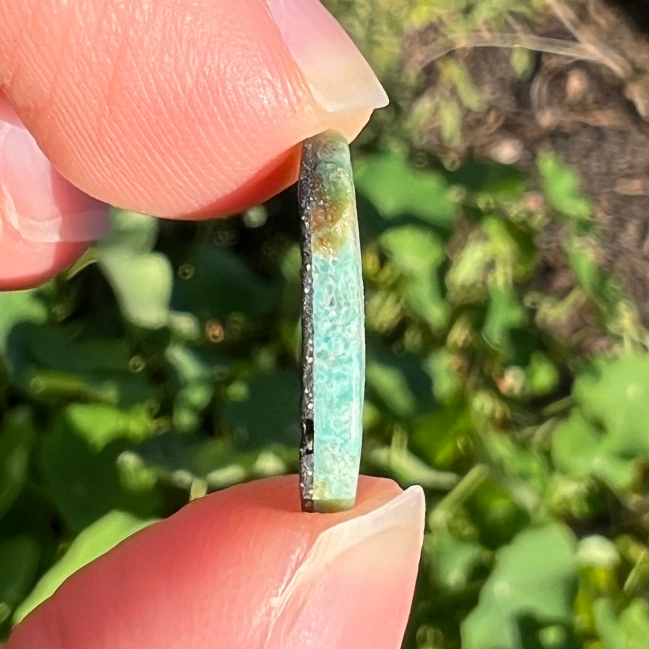 A freeform oval cabohcon cut turquoise stone from Lander County, Nevada.  The stone is greenish blue in color.