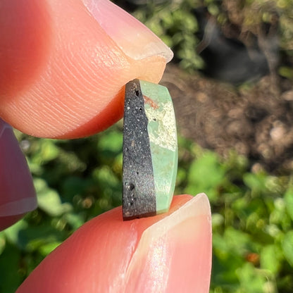 A loose, green Royston turquoise stone.  The stone has a brown matrix.