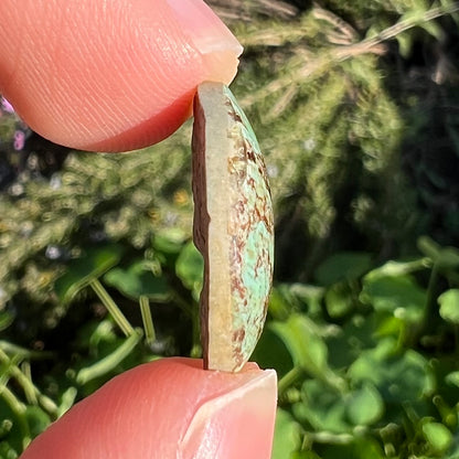 A loose, round cabochon cut, green turquoise stone with brown matrix.