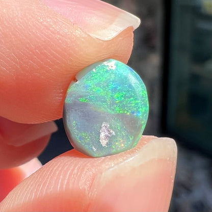 A loose, 1.26 carat semi-black opal stone from Lightning Ridge, Australia.  The opal is green and blue.