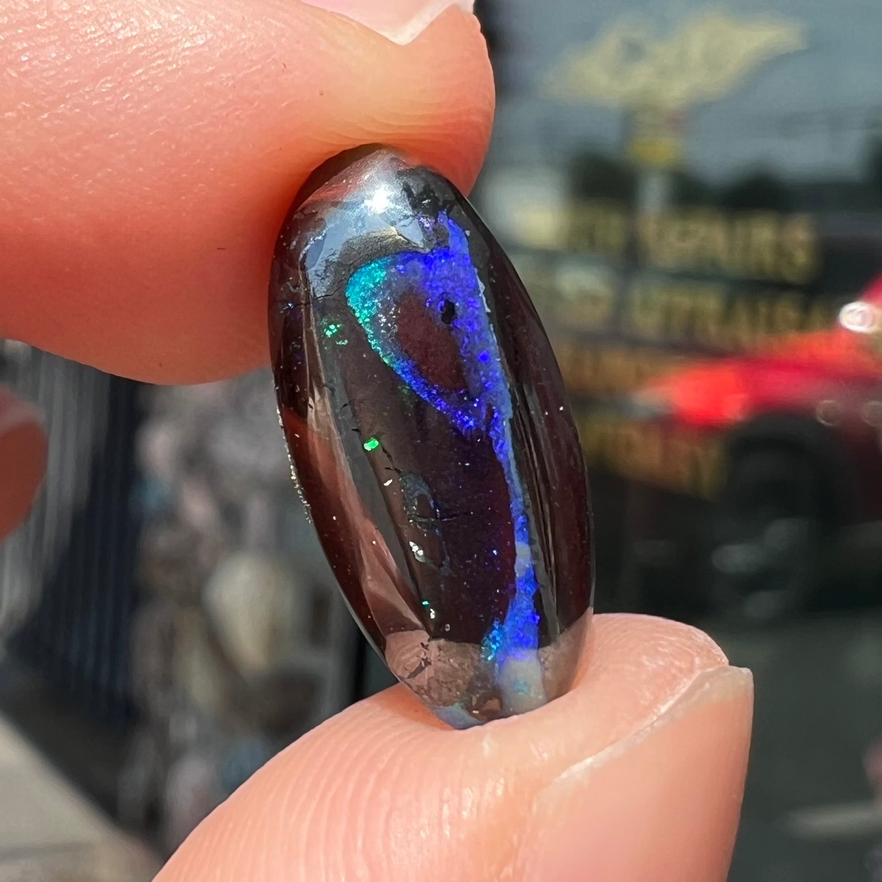 A loose, oval cabochon cut boulder opal stone.  The stone has bright blue and purple veins.