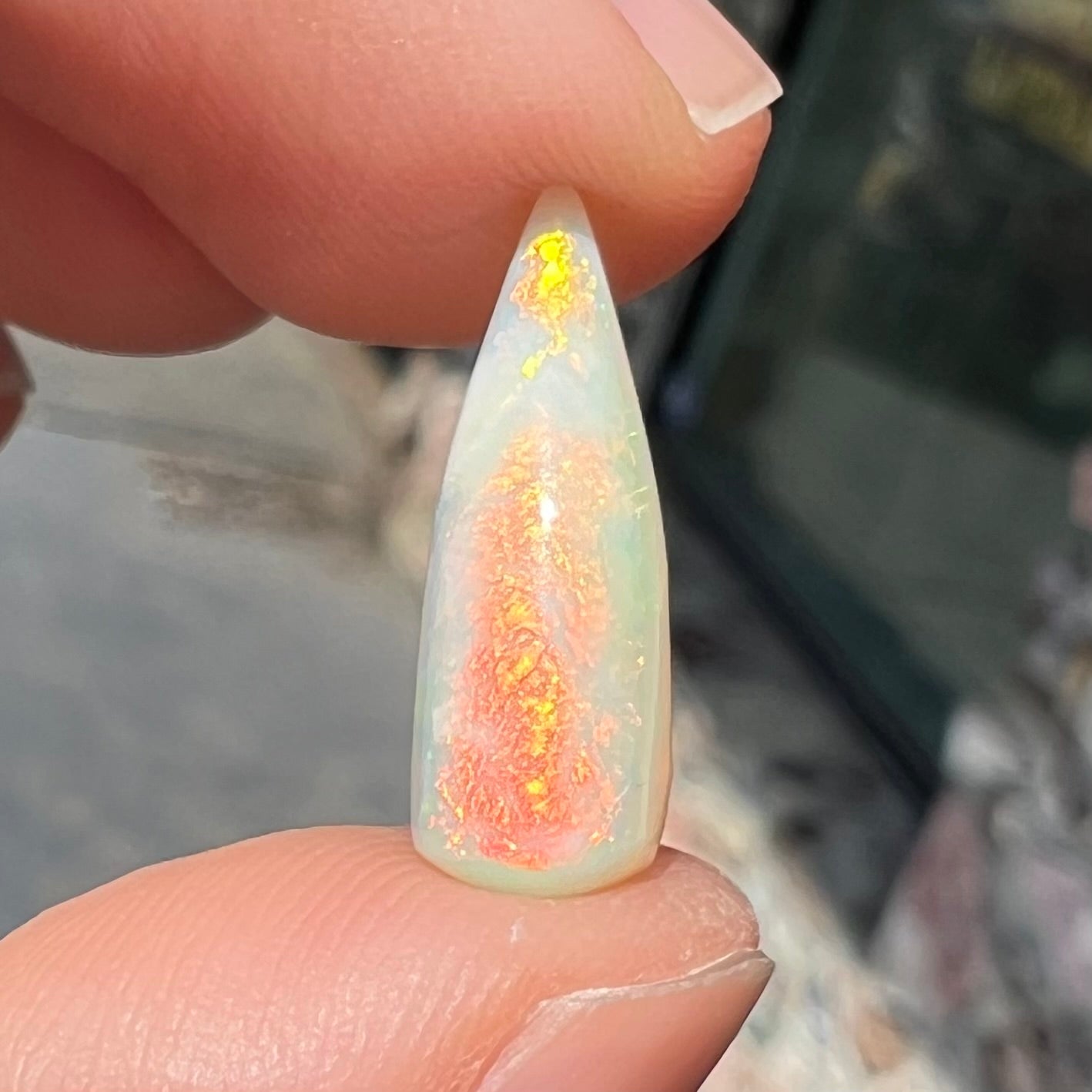 An opalized belemnite fossil from Coober Pedy, Australia.  The specimen has red, yellow, and green play of color.