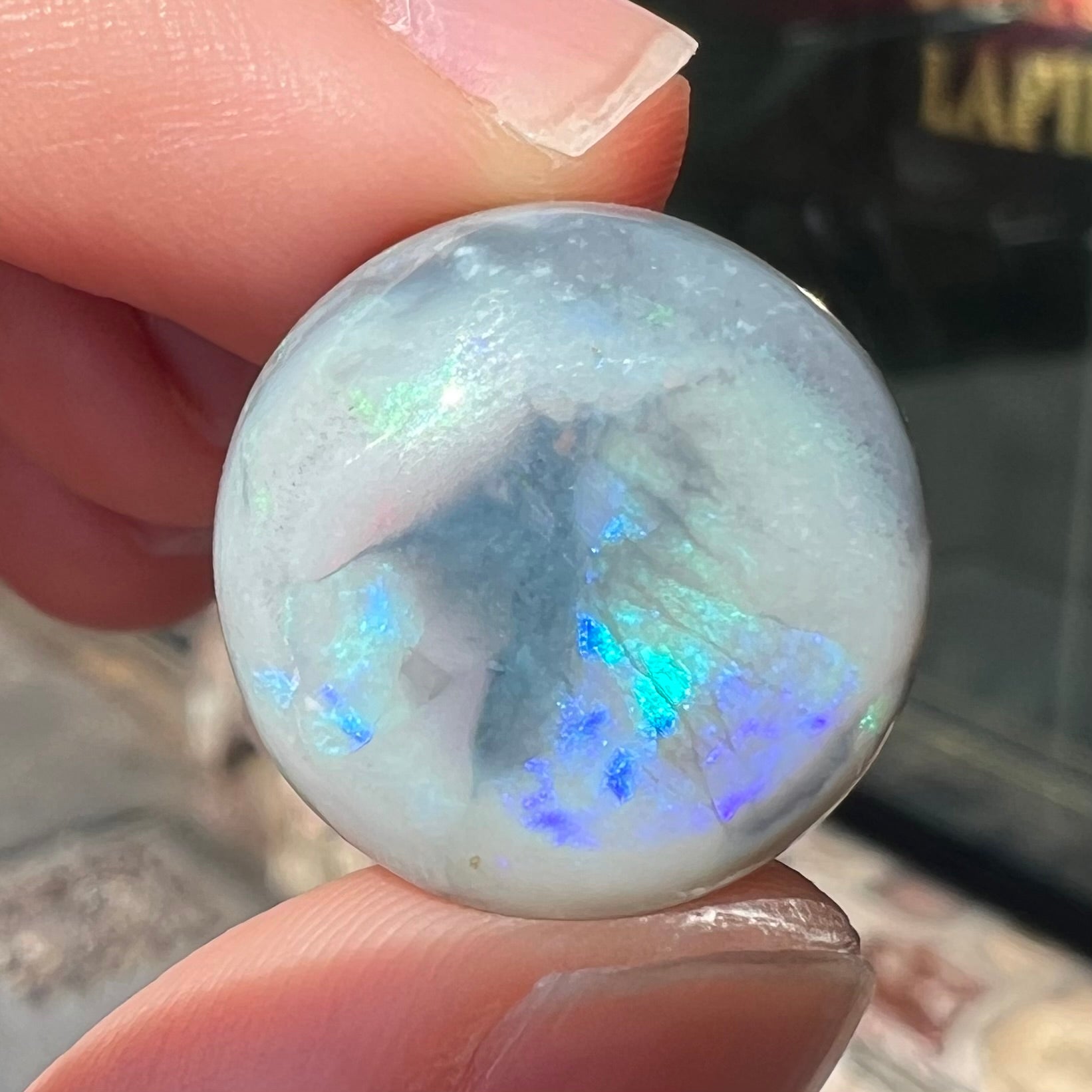 A round cabochon cut Lightning Ridge opal stone that has a picture of a bird of paradise.