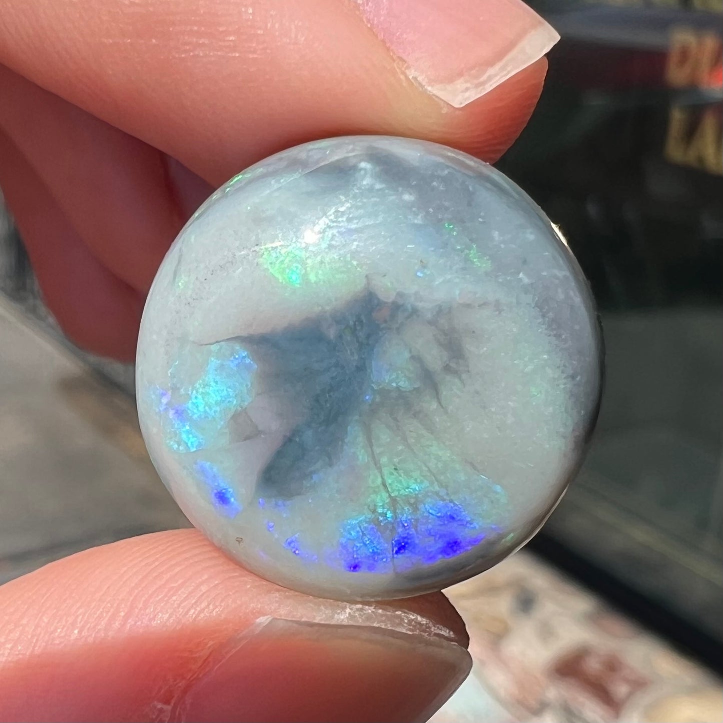 A round cabochon cut Lightning Ridge opal stone that has a picture of a bird of paradise.