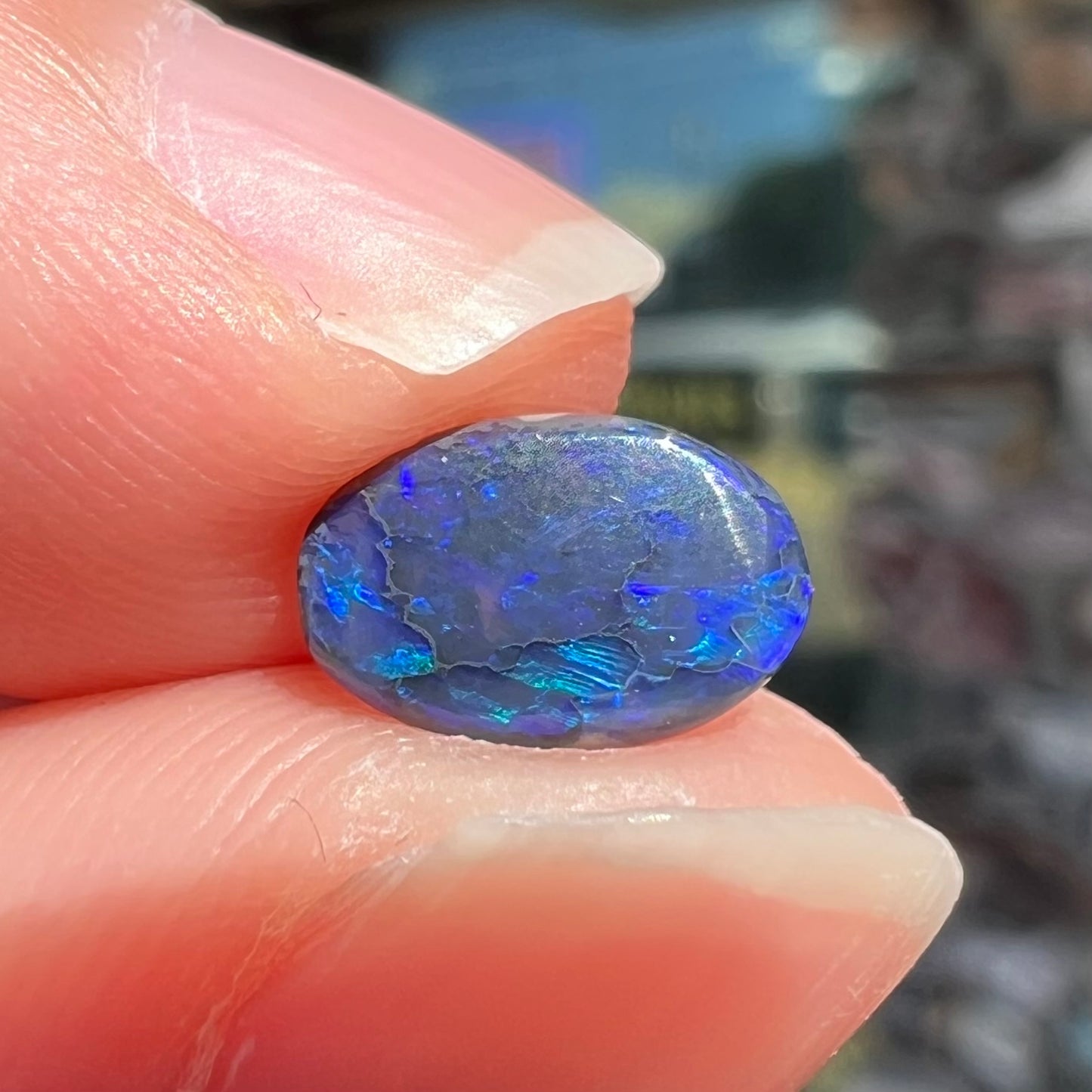 A loose, oval cabochon cut black opal stone from Lightning Ridge, Australia.  The opal has blue color play.