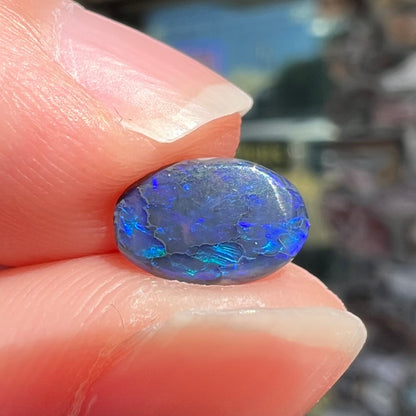 A loose, oval cabochon cut black opal stone from Lightning Ridge, Australia.  The opal has blue color play.