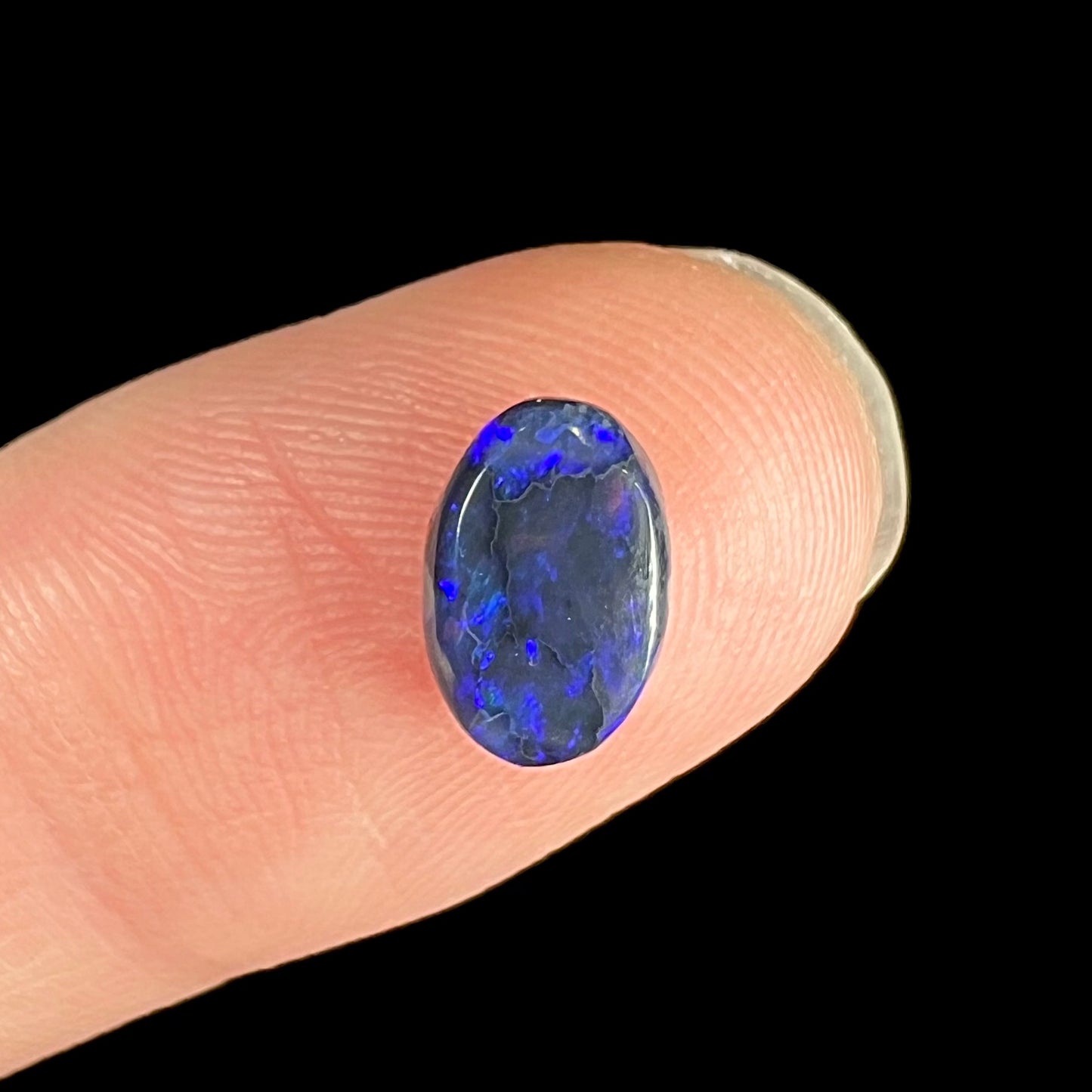 A loose, oval cabochon cut black opal stone from Lightning Ridge, Australia.  The opal has blue color play.