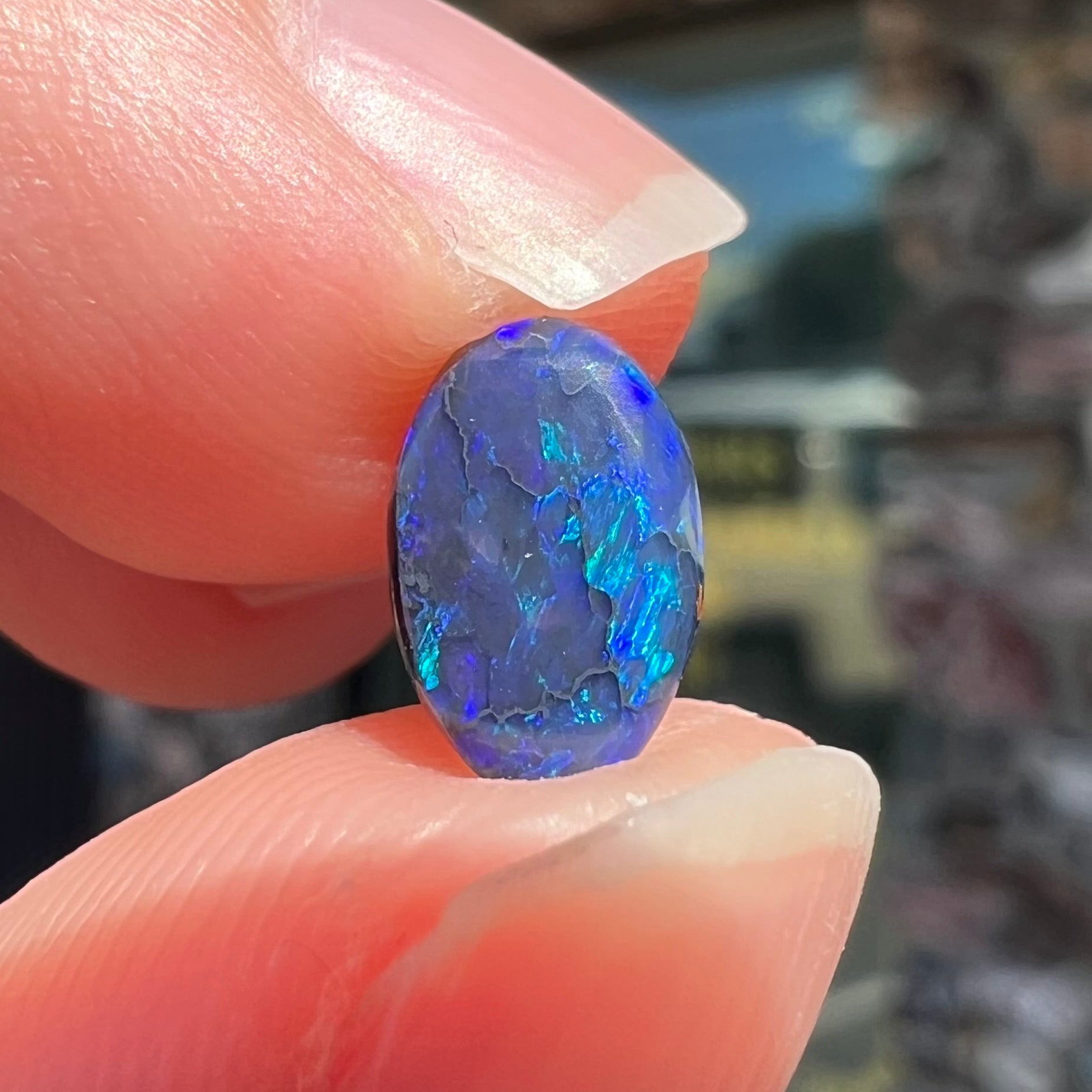 A loose, oval cabochon cut black opal stone from Lightning Ridge, Australia.  The opal has blue color play.