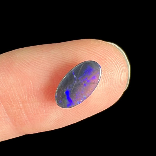 A loose, oval cabochon cut black opal stone from Lightning Ridge, Australia.  The opal has blue color play.