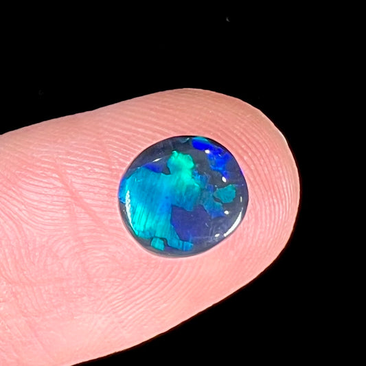 A loose black opal stone from Lightning Ridge, Australia.  The opal shines blue and green colors.