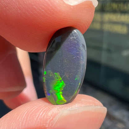 A loose, oval cut black opal stone from Lightning Ridge, Australia.  The opal plays with green and blue fire.