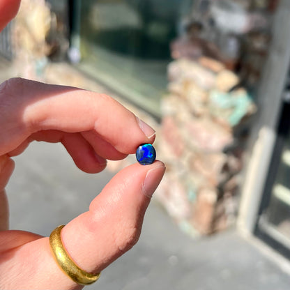 A loose black opal stone from Lightning Ridge, Australia.  The opal shines blue and green colors.