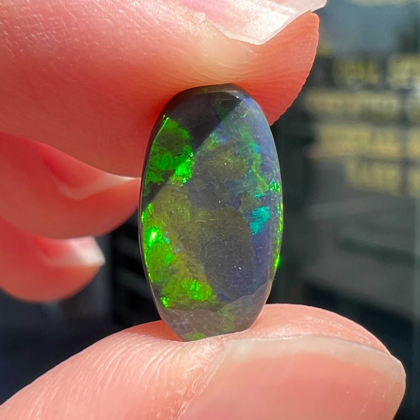 A loose, oval cut black opal stone from Lightning Ridge, Australia.  The opal plays with green and blue fire.