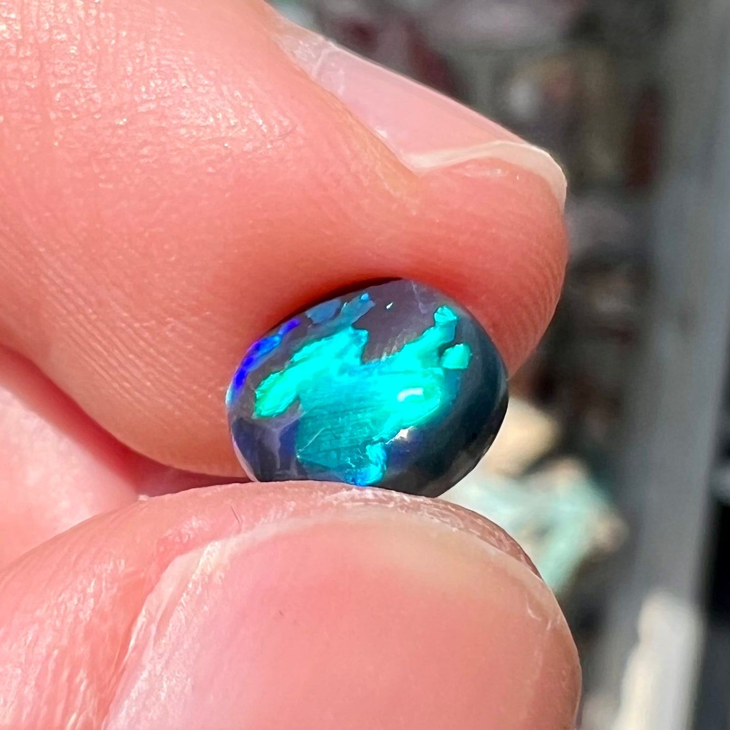 A loose black opal stone from Lightning Ridge, Australia.  The opal shines blue and green colors.