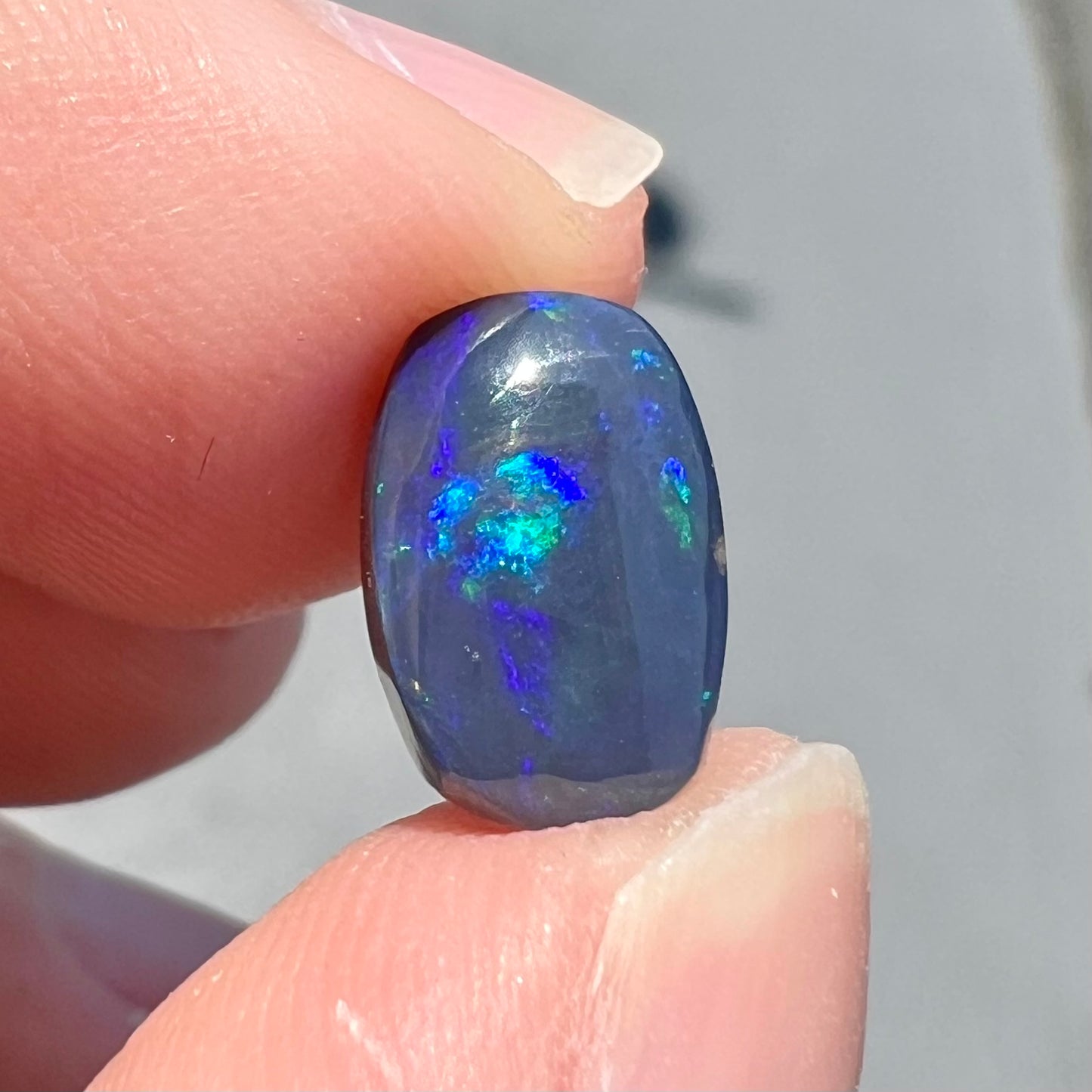 A loose Lightning Ridge black opal stone that shines colors of green, blue, and purple.