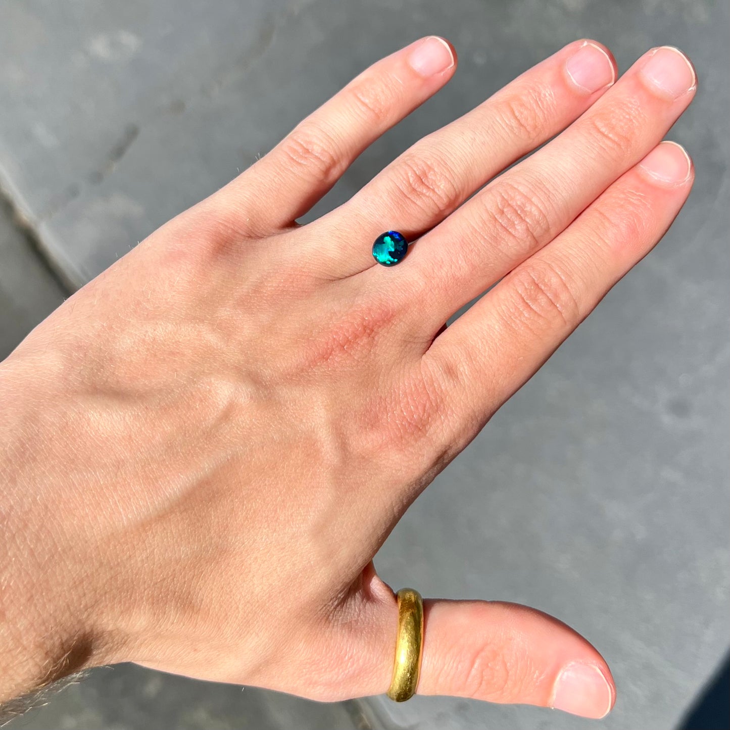 A loose black opal stone from Lightning Ridge, Australia.  The opal shines blue and green colors.