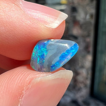 A 1.63 carat loose black opal stone from Lightning Ridge, Australia.  The opal is a freeform shape.