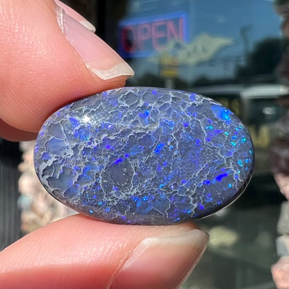 A loose, oval cabochon cut black opal from Lightning Ridge, Australia that weighs 13.09 carats.  The opal is blue.